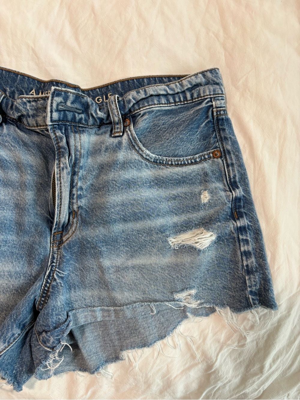 American Eagle Outfitters Light Blue Distressed Denim Shorts